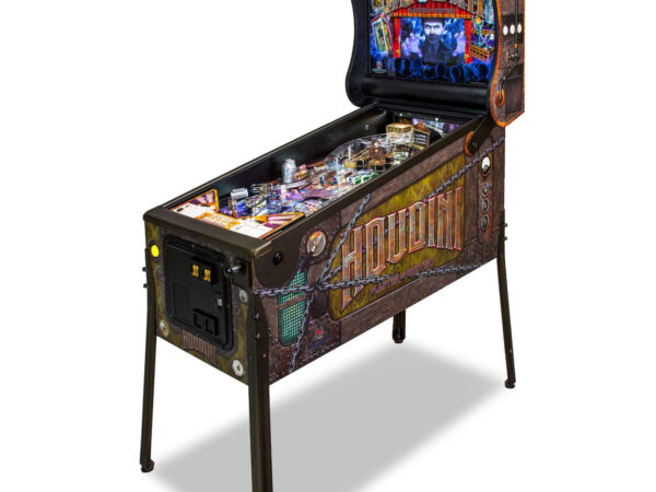 Houdini “Master of Mystery” Pinball Machine